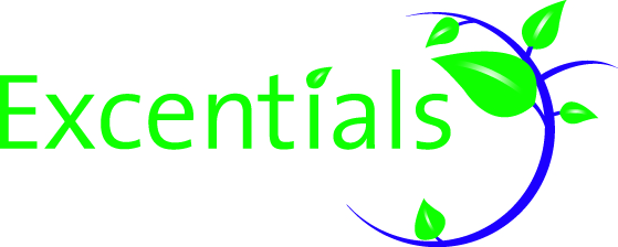 Excentials