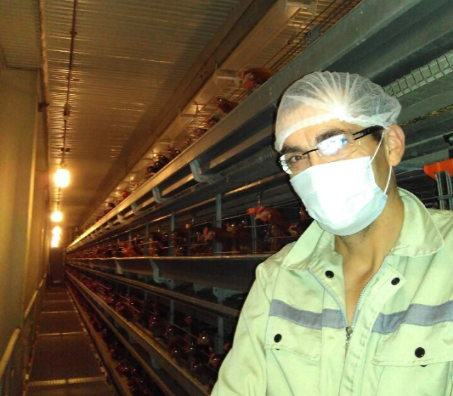 Dutch Poultry Centre