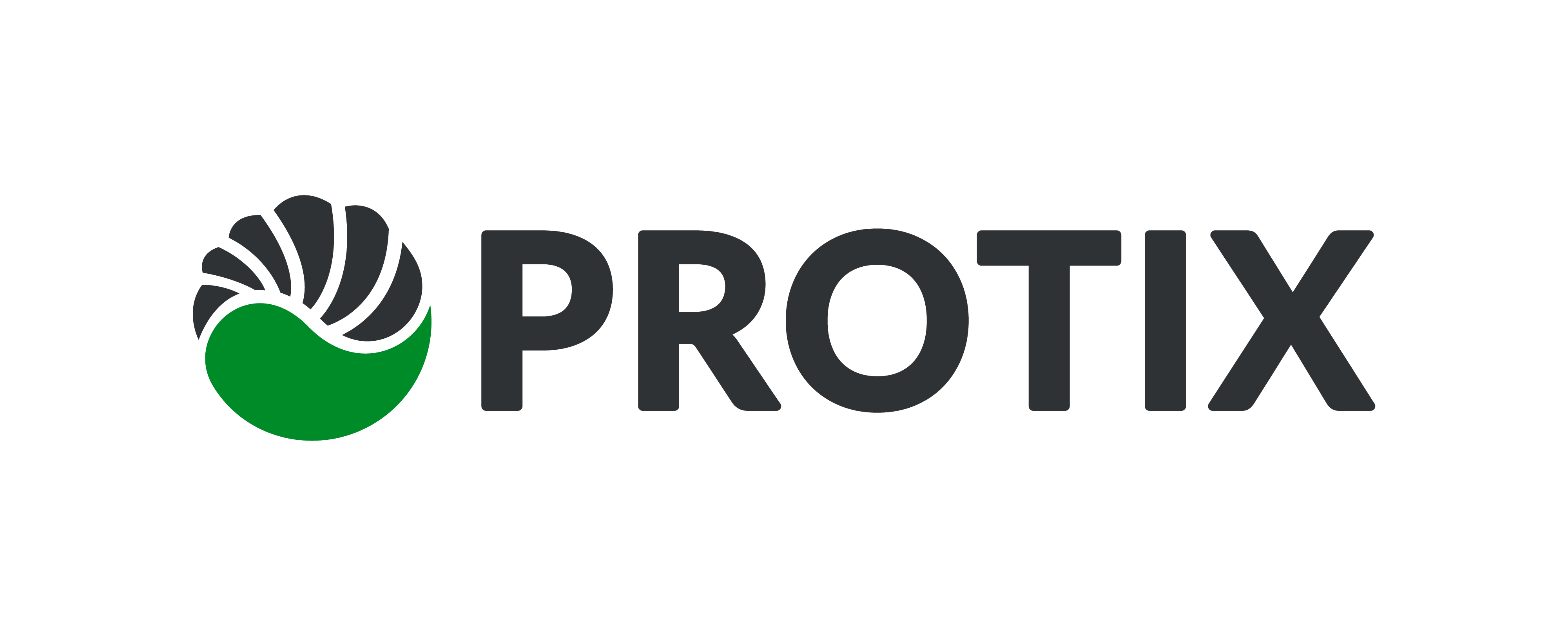 Logo PROTIX logo RGB 4000px
