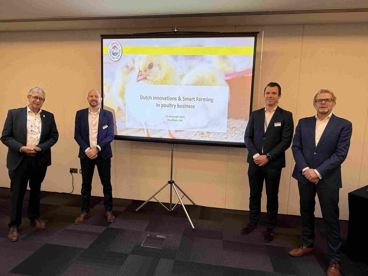 img 1969 min optimized 8 11zon