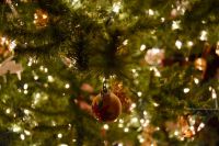 Season's Greetings