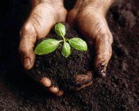 Mavitec turns manure into green energy and EcoChar